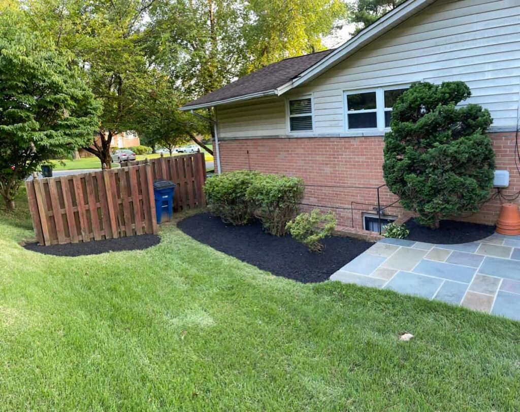 Professional Landscaping
