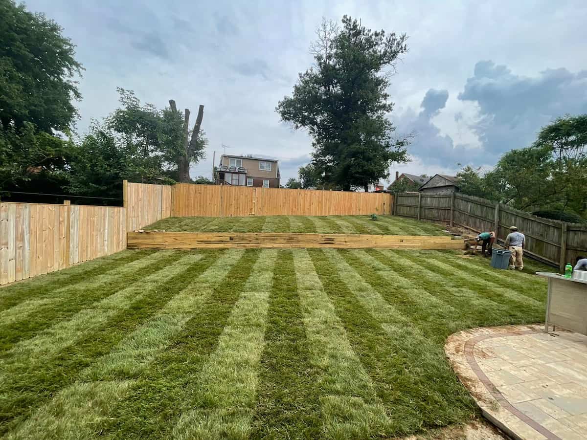 Sod Installation